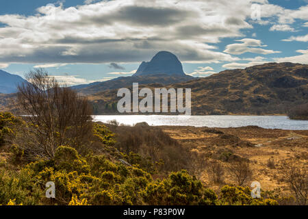 Suilven über Loch Druim Suardalain, Glen Canisp Wald, in der Nähe von Lochinver, Coigach, Sutherland, Hochland, Schottland, Großbritannien Stockfoto