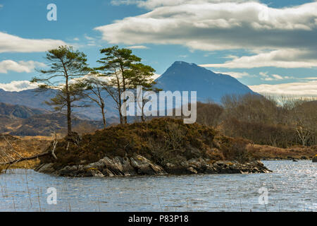 Canisp vom Loch Druim Suardalain, Glen Canisp Wald, in der Nähe von Lochinver, Coigach, Sutherland, Hochland, Schottland, Großbritannien Stockfoto