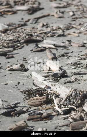 Schließen Sie herauf Bild von treibholz an einem Sandstrand auf der Kapiti Küste von Neuseeland. Stockfoto