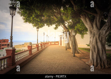 Bäume Gasse in Icod Stadt auf Teneriffa, Spanien. Stockfoto