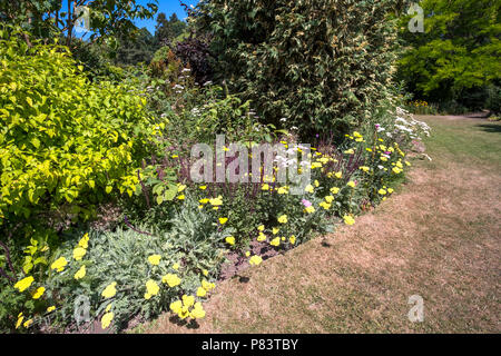 Blume Garten und Rasen während der Hitzewelle im Sommer 2018 in Großbritannien Stockfoto