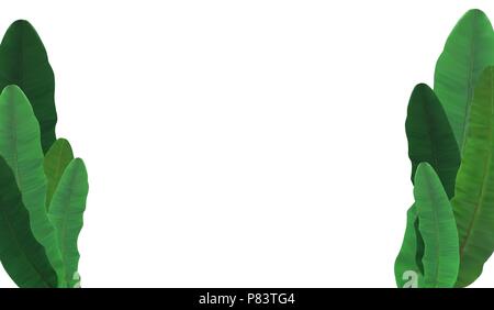 Schönen natürlichen Baum Palm Tree Leaf Silhouette Hintergrund Vector Illustration Stock Vektor