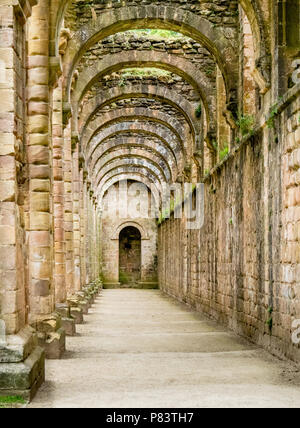 Romanisch gewölbte Gebäude in Ruinen von Fountains Abbey in der Nähe von Bedale in Yorkshire, Großbritannien Stockfoto