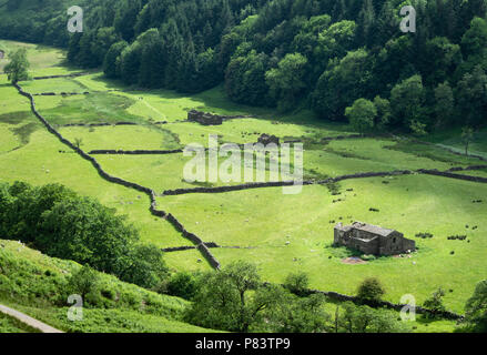 Zwei weit entfernte Spaziergänger vorbei an den Scheunen und Trockenmauern der Schönen oberen Swaledale in den Yorkshire Dales UK Stockfoto