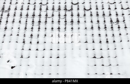 Metall Fliesen Dach im Winter mit Schnee bedeckt, Hintergrund Textur Stockfoto