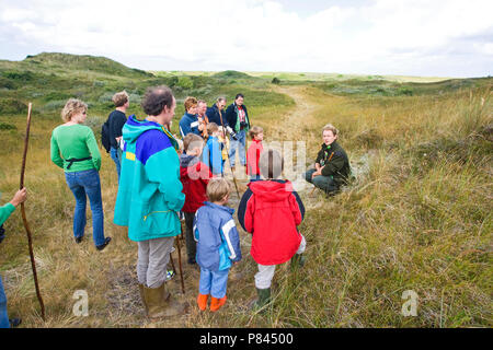 Excursie naar meeuwenkolonie op Texel; Exkursion Kolonie auf Texel zu Möwe Stockfoto