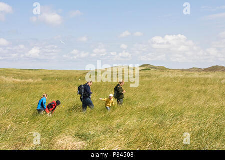 Excursie naar meeuwenkolonie op Texel; Exkursion Kolonie auf Texel zu Möwe Stockfoto