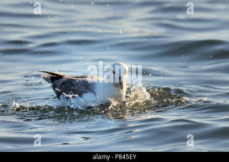 Natur Bild Stockfoto