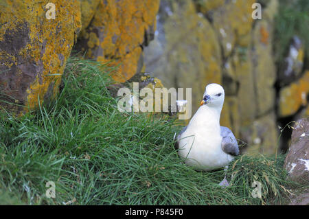 Natur Bild Stockfoto