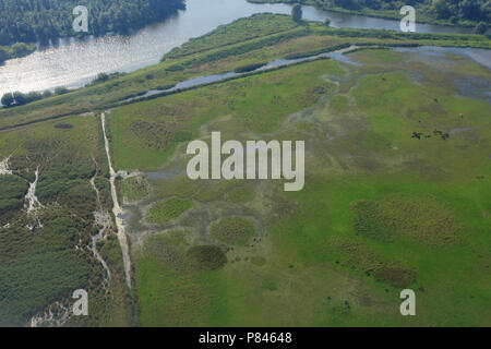 Luftaufnahme auf der Biesbosch, de Biesbosch vanuit de Lucht Stockfoto