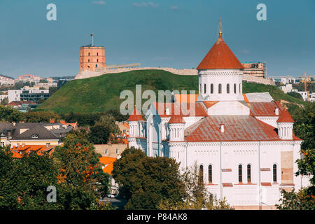 Vilnius, Litauen. Kathedrale der Theotokos und den Turm von Gediminas oder Gedimino in der Altstadt von Vilnius. Unesco-Weltkulturerbe. Stockfoto