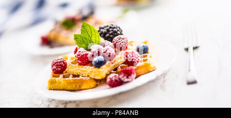 Frische Waffeln mit Beeren Zucker Pulver ant Minzeblättchen. Stockfoto