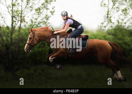 Junge hübsche Mädchen ein Pferd reiten - Sprung über Hürde mit im Frühling Stockfoto