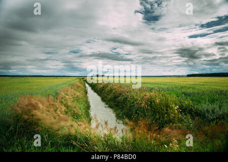 Landschaft Landschaft mit Aus diesem Kanal Graben in Grün landwirtschaftliches Feld Wiese. Sommer bewölkten Tag. Stockfoto