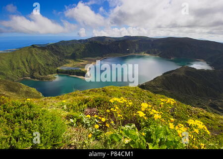 Panoramablick vom Aussichtspunkt über Lagoa do Fogo auf der Insel Sao Miguel, Azoren, Europa Stockfoto