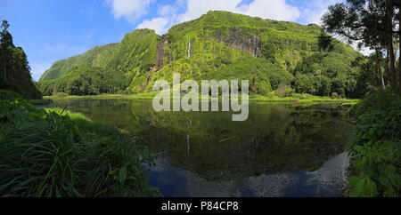 Panorama-aufnahme eines malerischen Wasserfall im Forst auf Flores, einer Insel der Azoren Archipel (Portugal) Stockfoto