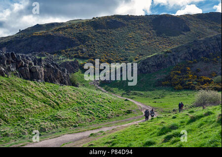 Ein bergwandern Route über grasbewachsene Hänge bis zu Arthur's Seat, dem höchsten Punkt in Edinburgh Holyrood Park, Schottland, Großbritannien Stockfoto