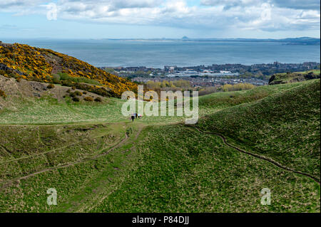 Ein bergwandern Route über grasbewachsene Hänge bis zu Arthur's Seat, dem höchsten Punkt in Edinburgh Holyrood Park, Schottland, Großbritannien Stockfoto