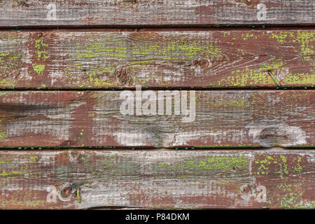 Holz Textur Hintergrund. Eine hölzerne Hintergrund mit den Resten der grünen und roten Farbe Stockfoto