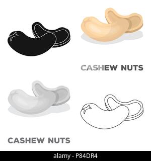 Cashewnüsse. Verschiedene Arten von Nüssen einzelnen Symbol im Comic-stil Vektor Symbol lieferbar web Abbildung. Stock Vektor