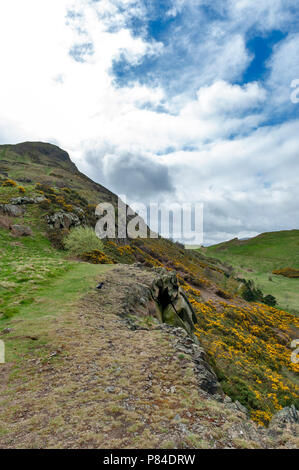 Ein bergwandern Route über grasbewachsene Hänge bis zu Arthur's Seat, dem höchsten Punkt in Edinburgh Holyrood Park, Schottland, Großbritannien Stockfoto