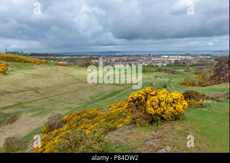 Ein bergwandern Route über grasbewachsene Hänge bis zu Arthur's Seat, dem höchsten Punkt in Edinburgh Holyrood Park, Schottland, Großbritannien Stockfoto