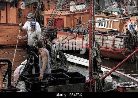 Fischer Fischerboot im Hafen von Mar Del Plata, Argentinien Stockfoto