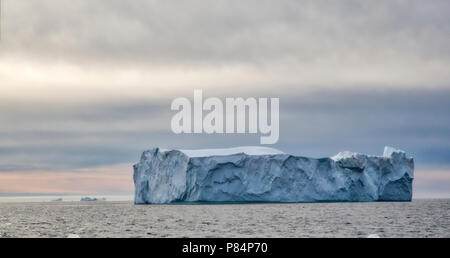 Eisberge vor der Küste von Taliisaq, Ost Grönland Stockfoto