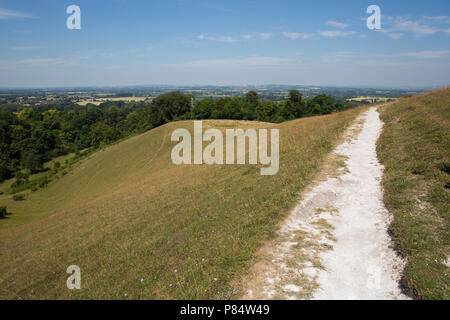 Ellesborough, UK. 6. Juli, 2018. Eine Ansicht von Beacon Hill, einem steilen Chalk Hill, die Bestandteil des Chequers Immobilien. Stockfoto