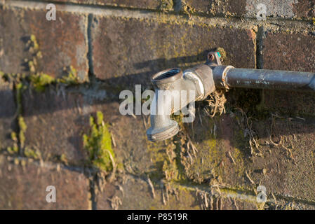 Tippen Sie im Freien oder Wasserhahn mit Hebel drehen, um das Ventil entfernt werden, so dass es kann nicht verwendet werden. Tippen Sie auf einem moosigen Mauer angeschlossen. Stockfoto