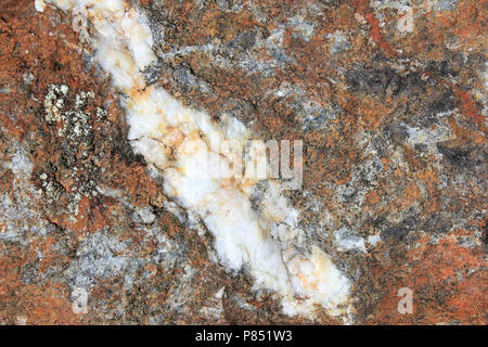 Volcanogenic Massive Sulfid (VMS) Erz (Kupfer, Zink, Blei) Kaution mit nicht-Erz Quarzader von parys Mountain, Anglesey Stockfoto