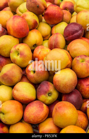 Frische Nektarinen im Markt Stockfoto