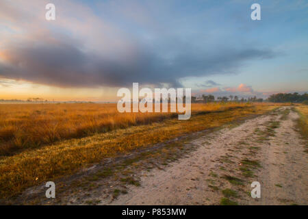 Natuurgebied Kalmhoutse Heide in prachtige najaarskleuren Stockfoto