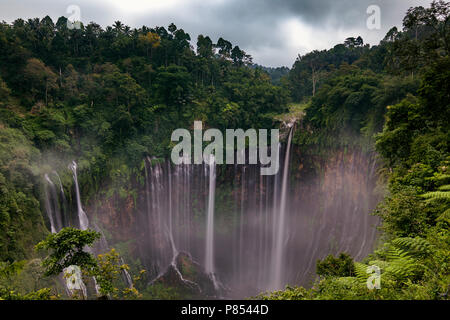 Tausend Wasserfall, Tumpak Sewu Malang Ostjava, Indonesien Stockfoto