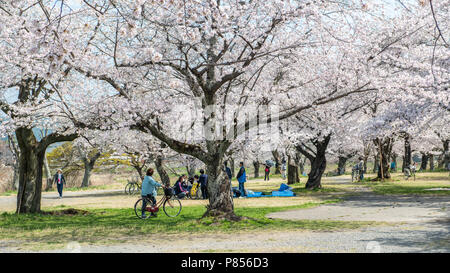 Japanische Touristen Arashiyama in der Umgebung von Kyoto, Japan erkunden. Arashiyama hat sich zu einem beliebten Reiseziel während der Frühling ist seit dem 8. Stockfoto