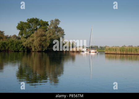 Pleziervaart in De Brabantse Biesbosch; Yachten im Brabantse Biesbosch Stockfoto