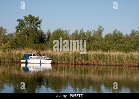 Pleziervaart in De Brabantse Biesbosch; Yachten im Brabantse Biesbosch Stockfoto