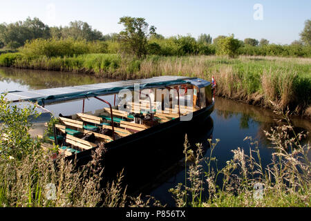 Fluisterboot in De Brabantse Biesbosch; Silent Boot im Brabantse Biesbosch Stockfoto