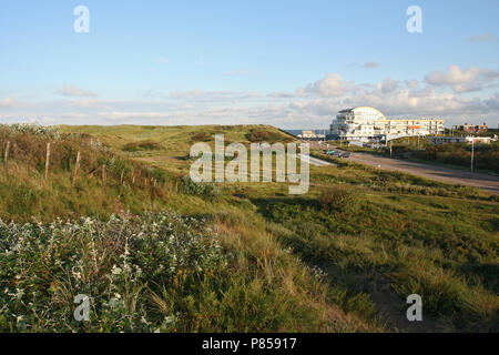 Zeereep bij Katwijk; Dünen bei Katwijk Stockfoto