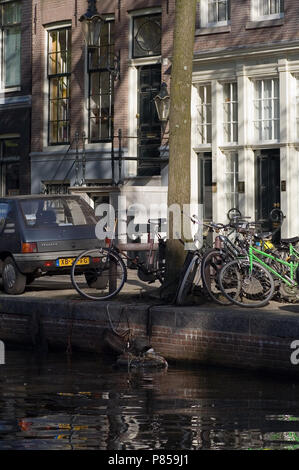 Eurasian Coot Zucht in Grachten von Amsterdam, Niederlande, Meerkoet broedend in Amsterdamse Grachten Stockfoto