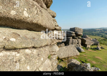 Combestone Tor Dartmoor Devon England 06.Juli20818 Eine der Dartmoor ist unverwechselbar, felsigen Tors Stockfoto