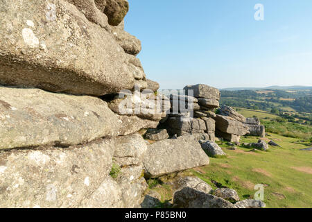 Combestone Tor Dartmoor Devon England 06.Juli20818 Eine der Dartmoor ist unverwechselbar, felsigen Tors Stockfoto