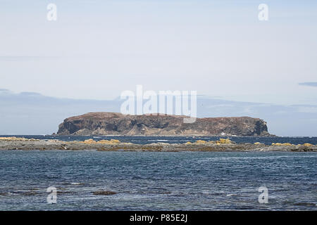 Reisebericht - Neufundland, Kanada, Landschaften und malerische, kanadische Provinz, 'The Rock', Stockfoto