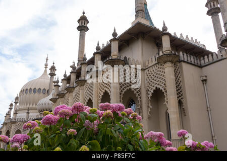 Rosa Hortensien blühen vor dem Royal Pavilion in Brighton, East Sussex, England. Ehemalige seaside Palast von König George IV. Stockfoto