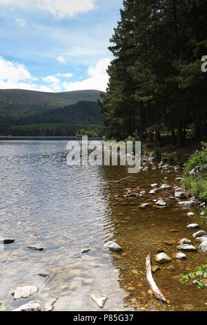 Shoreline am Loch eine Eilien Aviemore Stockfoto