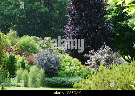 Ein klassischer englischer Garten, RHS Rosemoor, Devon, Großbritannien - Johannes Gollop Stockfoto