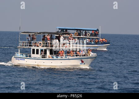 Walviskijkers uit de Kust van Sri Lanka; Whalewatcher auf einem Schiff vor der Küste von Sri Lanka Stockfoto