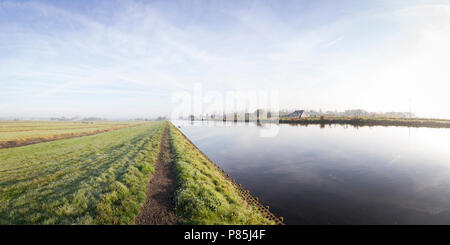 Vosse en weerlanerpolder Stockfoto