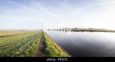 Vosse en weerlanerpolder Stockfoto