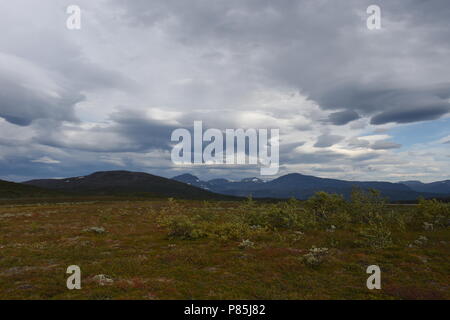 Am norwegischen Polarkreis mit Wolken Stockfoto